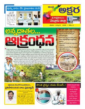 ANDHRA AKSHARA NELLORE