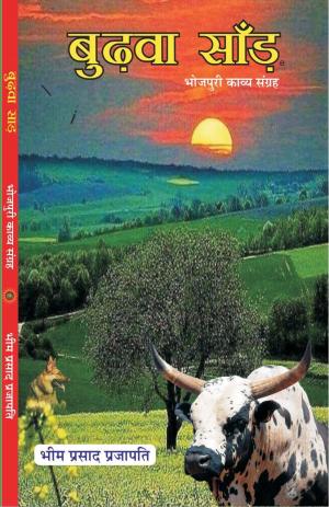 BUDWA SAAND  बुढवा सांड 