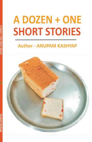 A DOZEN + ONE SHORT STORIES