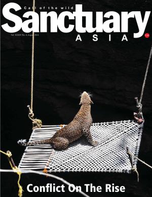 Sanctuary Asia