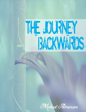 THE JOURNEY BACKWARDS