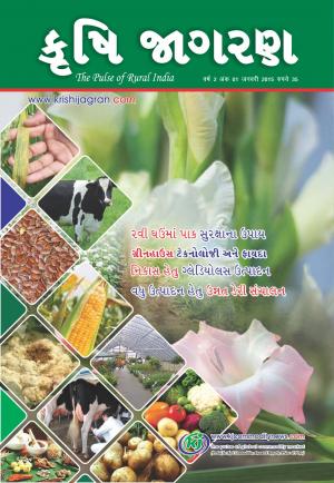 Gujarati Magazine-JANUARY-2015