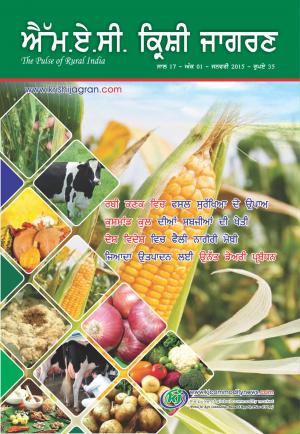 Punjabi Magazine-JANUARY-2015