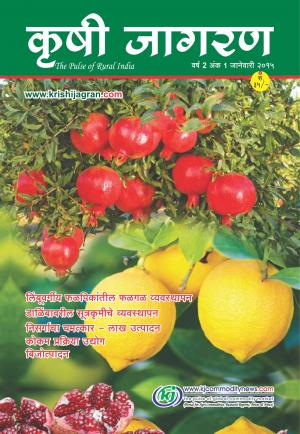 Marathi Magazine-January-2015