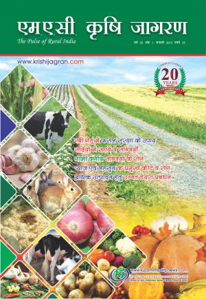 Hindi Magazine-JANUARY-2015